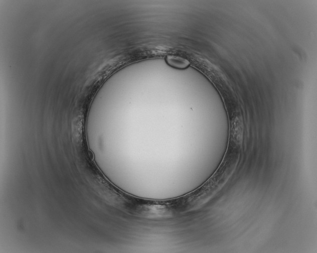 X0000115250509200911131727