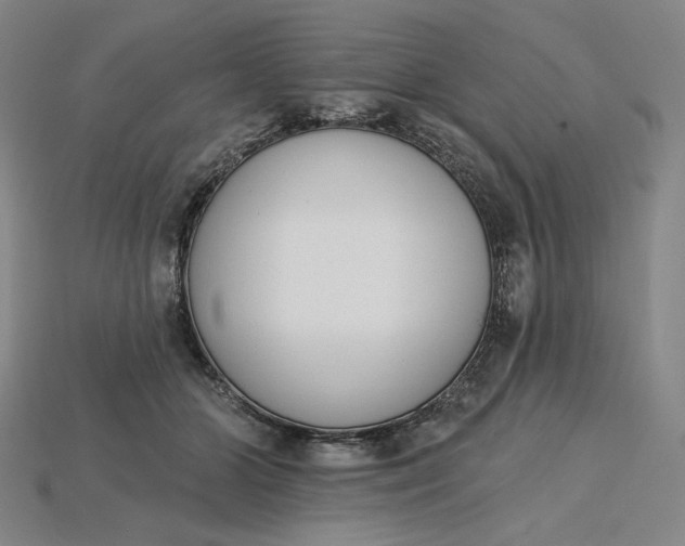 X0000115250510200911131727