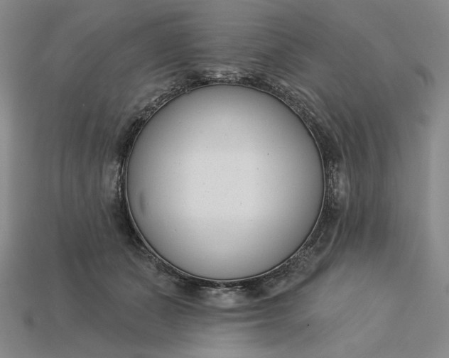 X0000115250511200911131727