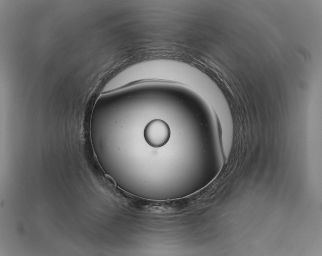 X0000115250512200911131727