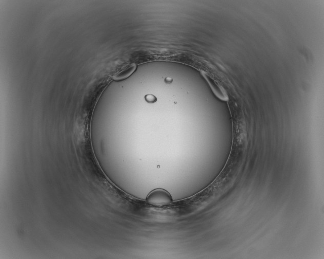 X0000115250515200911131727