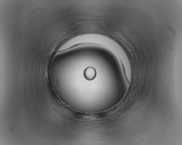 X0000115250516200911131727