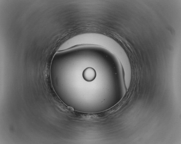 X0000115250517200911131727