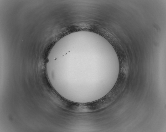 X0000115250518200911131727