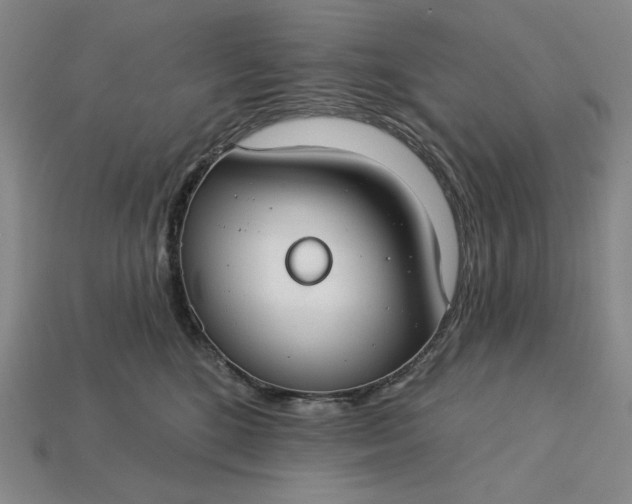 X0000115250520200911131727