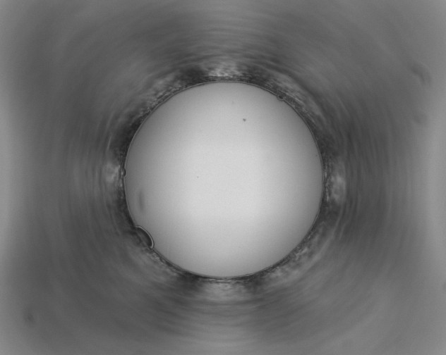 X0000115250521200911131727