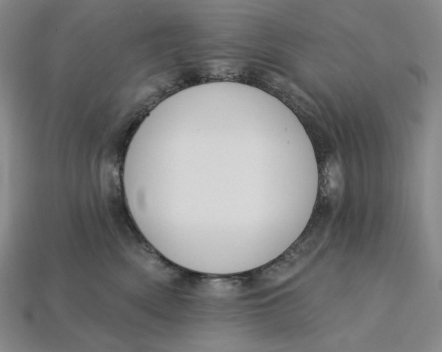 X0000115250522200911131727