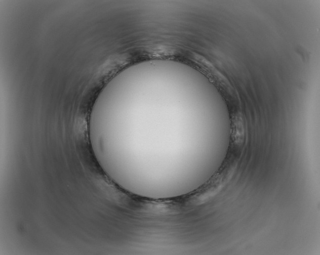 X0000115250523200911131727