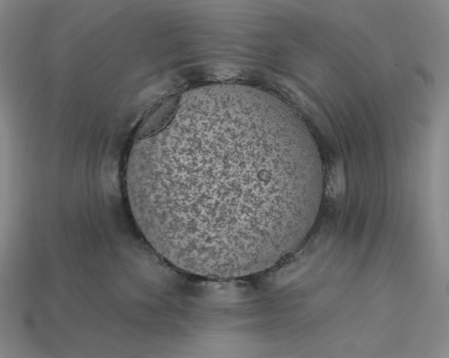 X0000115250524200911131727