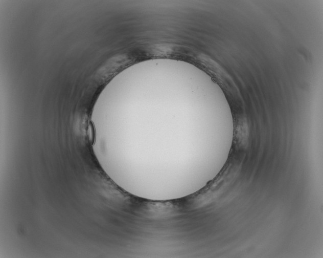 X0000115250525200911131727