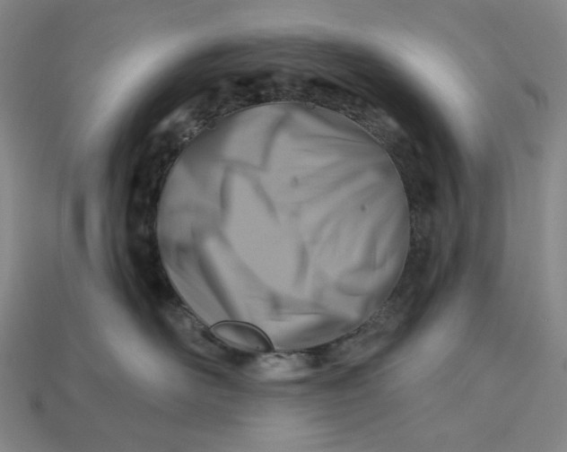 X0000115250526200911131727