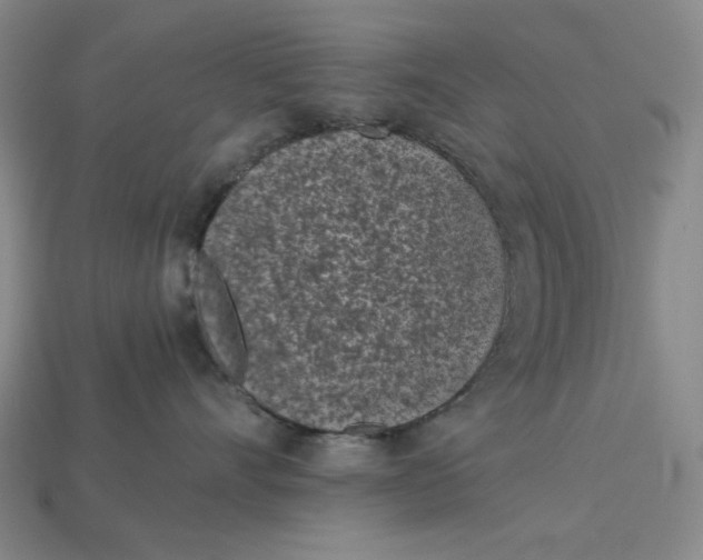 X0000115250528200911131727