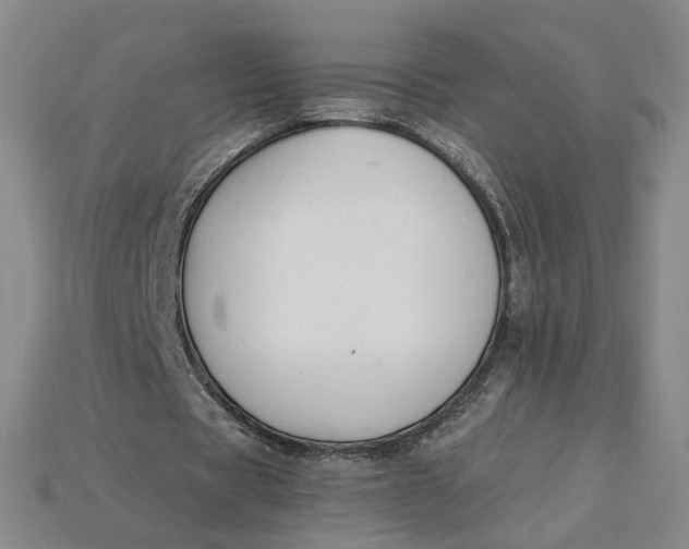 X0000115250529200911131726