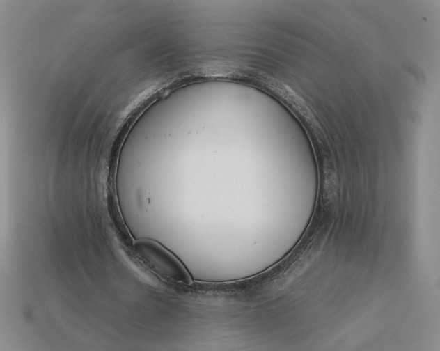 X0000115250530200911131726