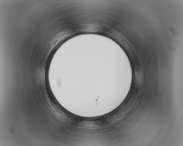 X0000115250534200911131726