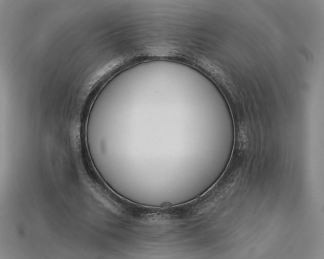 X0000115250535200911131726