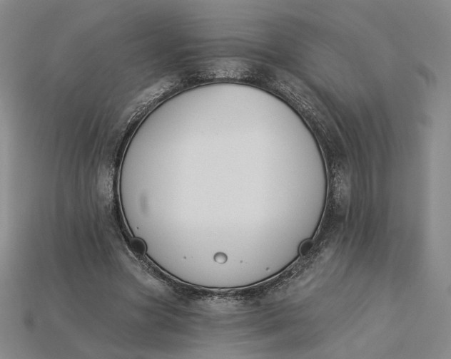 X0000115250537200911131726