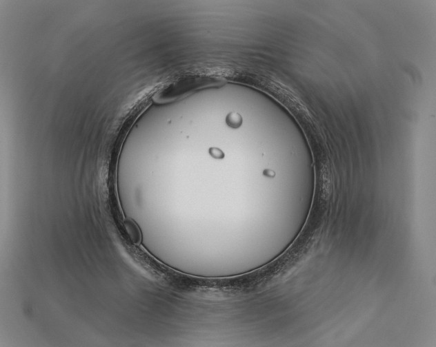 X0000115250538200911131726