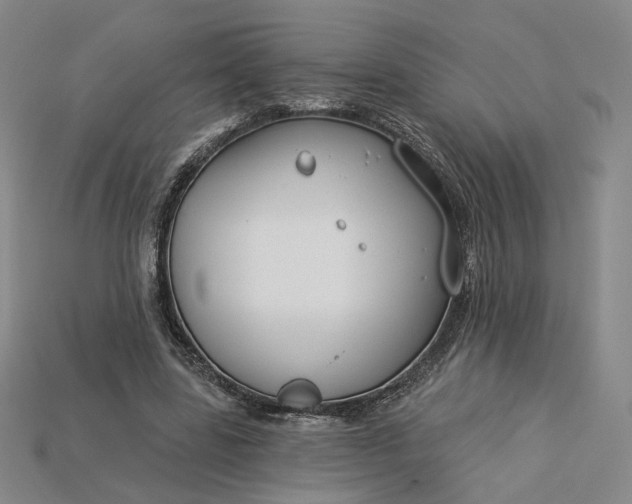 X0000115250539200911131727