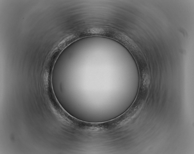 X0000115250542200911131727