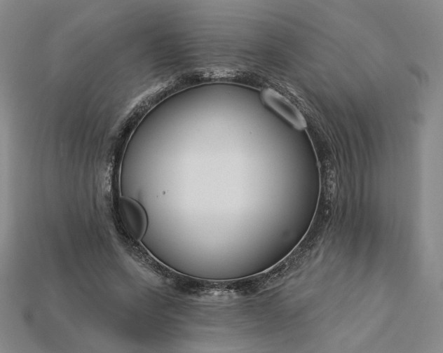 X0000115250543200911131727