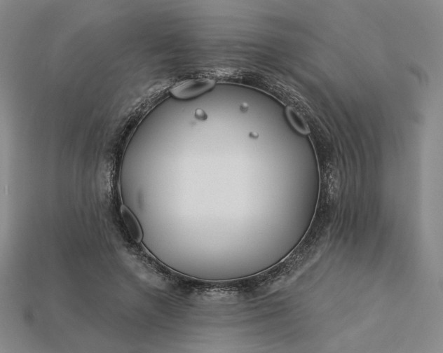 X0000115250546200911131727