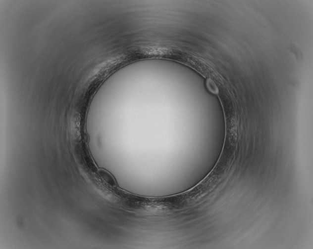 X0000115250547200911131727