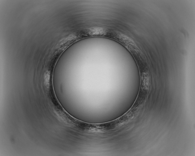 X0000115250550200911131727