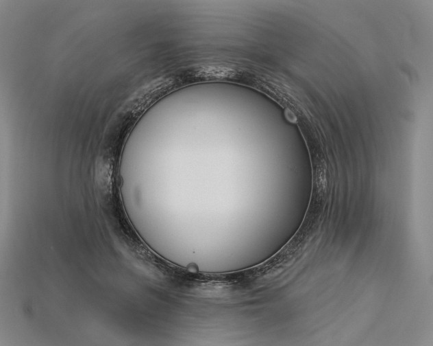 X0000115250551200911131727