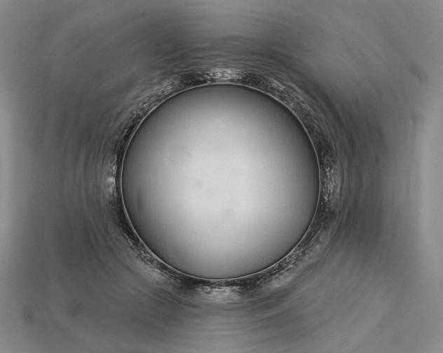 X0000115250553200911131727