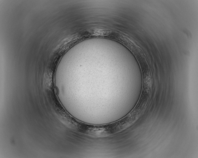 X0000115250554200911131727