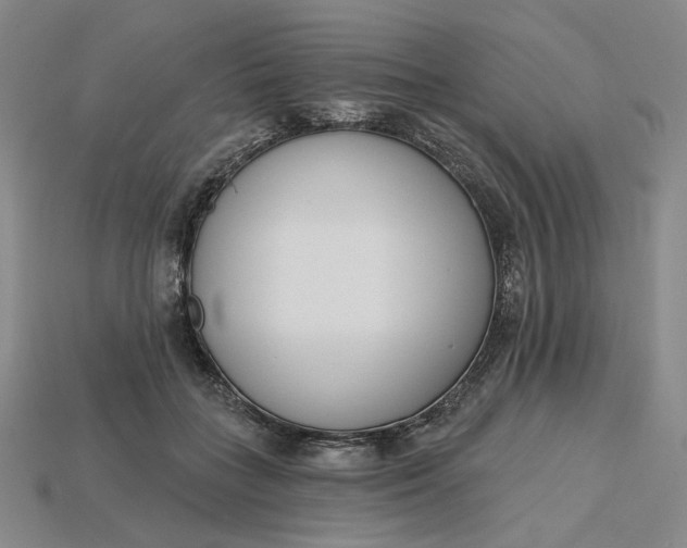 X0000115250555200911131727