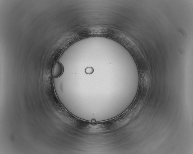 X0000115250557200911131727