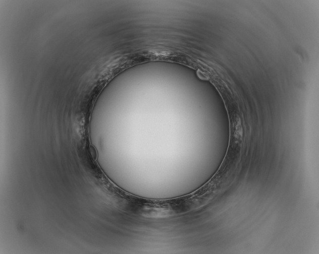 X0000115250559200911131727