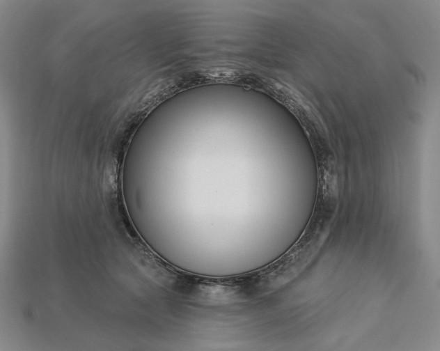 X0000115250561200911131727