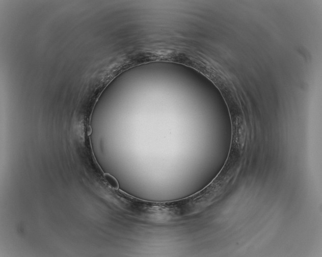 X0000115250562200911131727