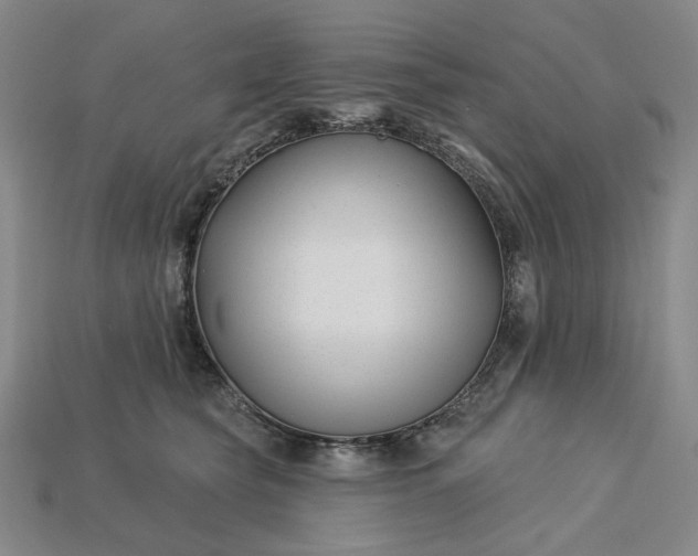 X0000115250565200911131727