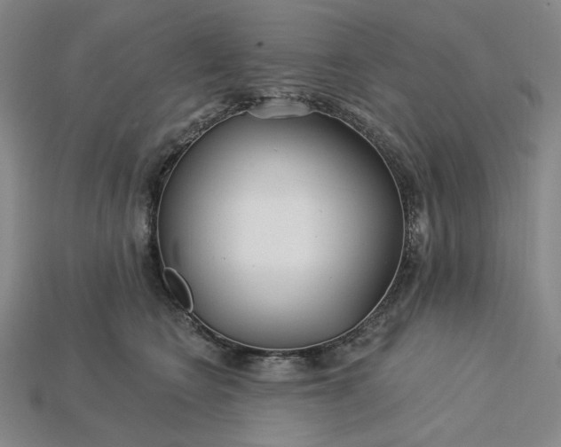 X0000115250566200911131727