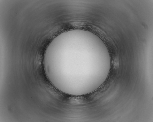 X0000115250567200911131727