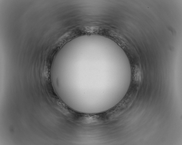 X0000115250569200911131727