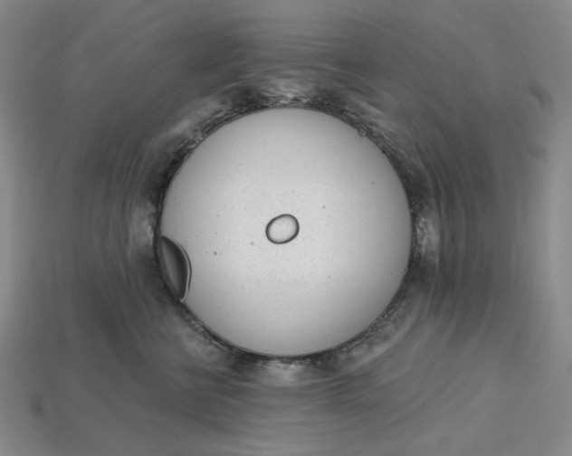 X0000115250570200911131727