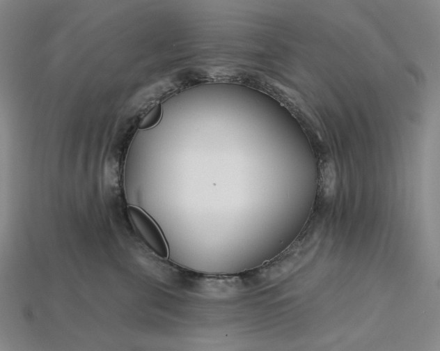 X0000115250571200911131727