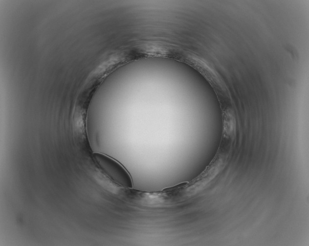 X0000115250573200911131727