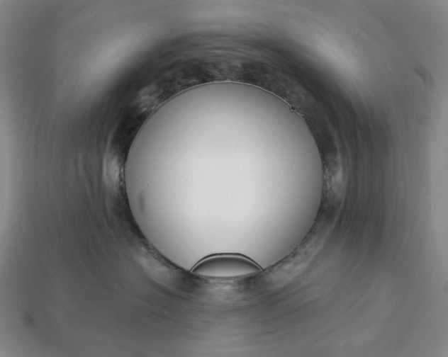 X0000115250574200911131727