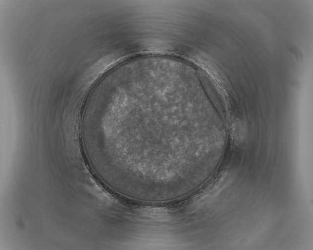 X0000115250577200911131726