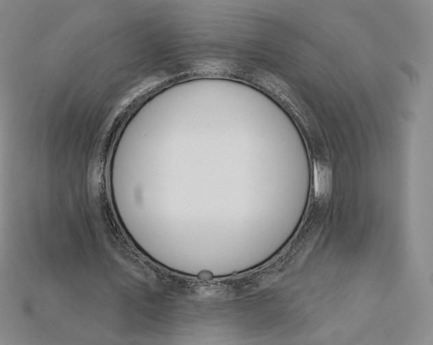 X0000115250579200911131726