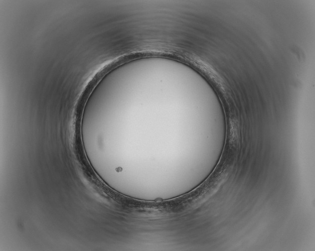 X0000115250580200911131726