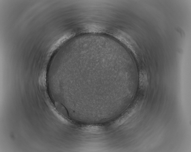 X0000115250581200911131726