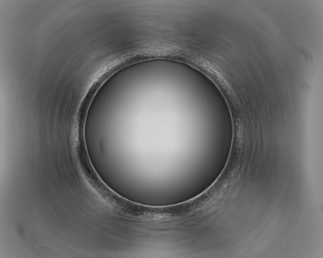 X0000115250582200911131726