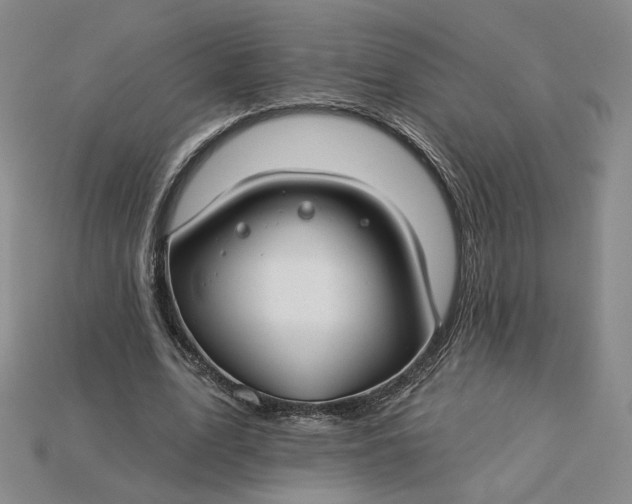 X0000115250583200911131726